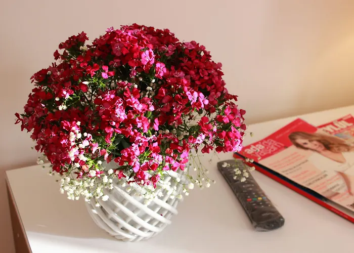 Hotel Imerhan Kusadası